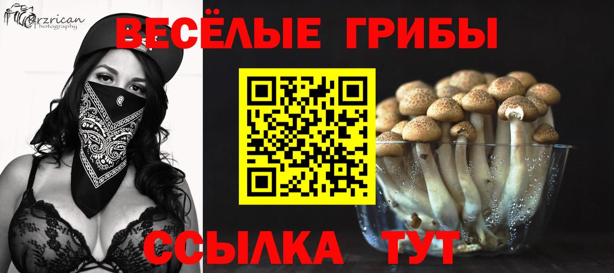 Иваново  Псилоцибиновые грибы Cubensis  Вход с VPN 